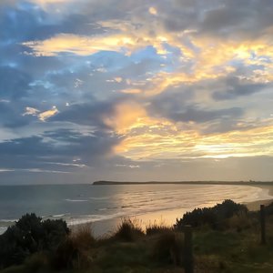 魏婴被强迫坐玉势
