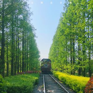 魏婴被强迫坐玉势
